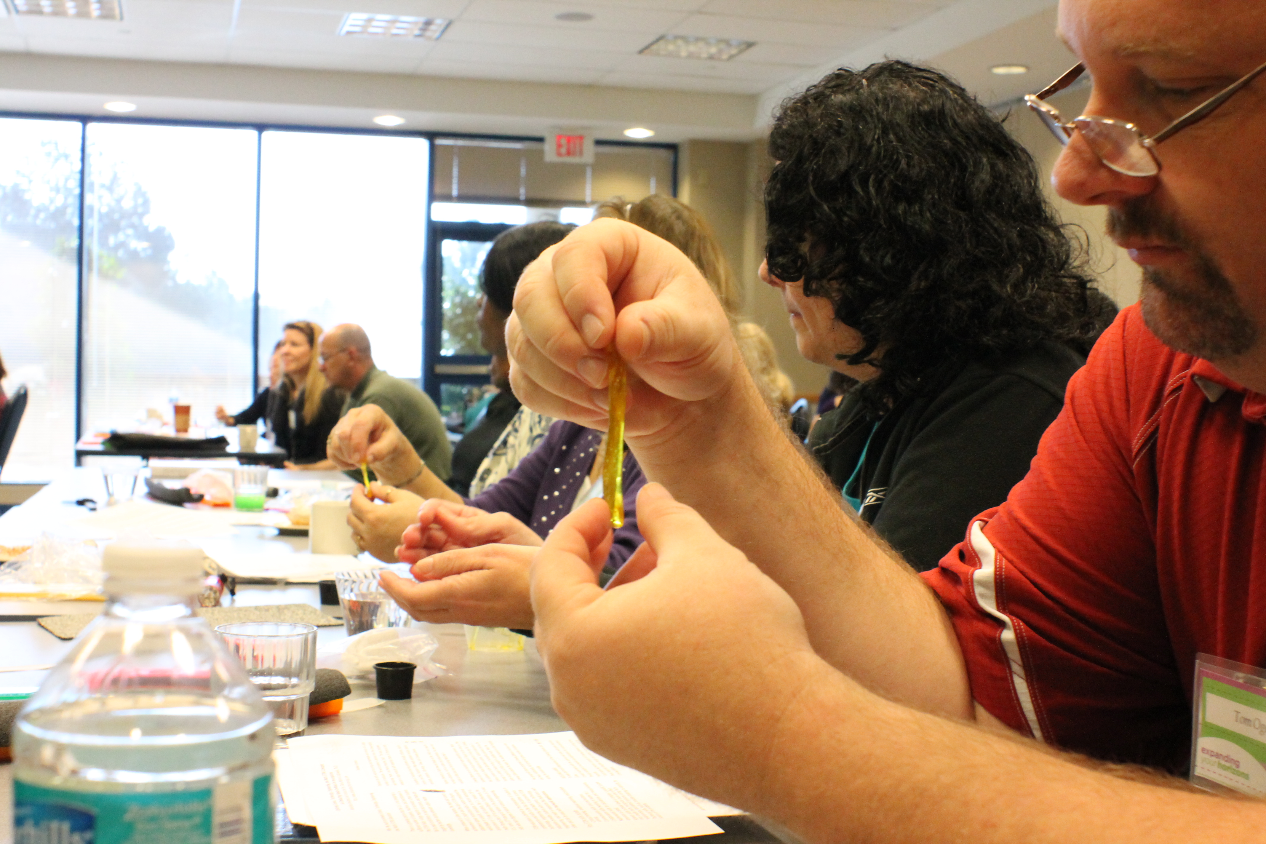 STEM and Science Teacher Training by Dr. Diana Wehrell-Grabowski