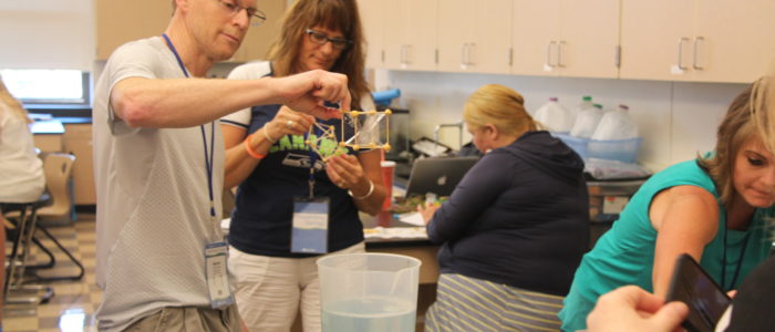 STEM and Science Teacher Training by Dr. Diana Wehrell-Grabowski