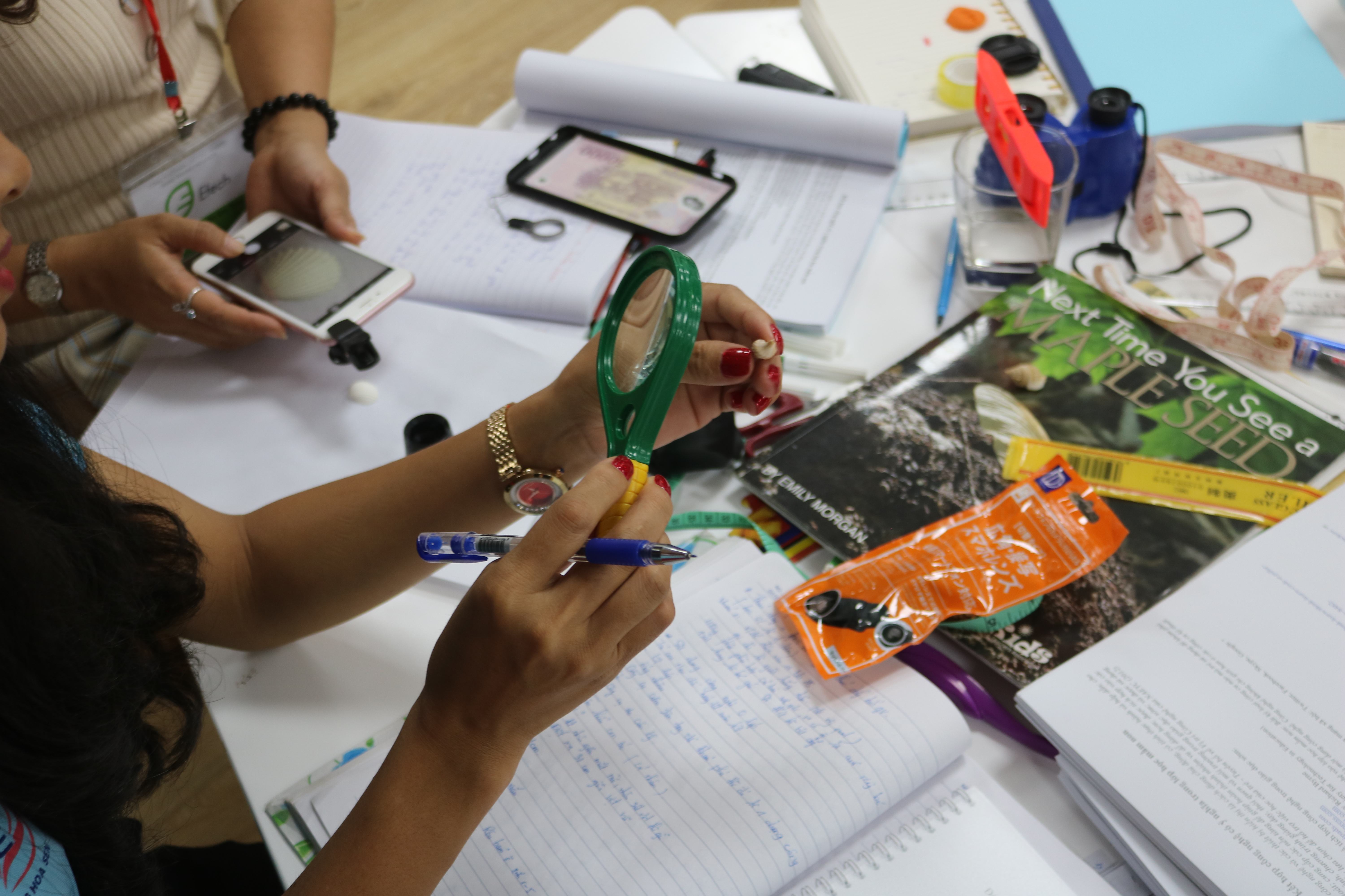 STEM teacher training Vietnam STEAMeGarten Apax by Dr. Diana Wehrell-Grabowski