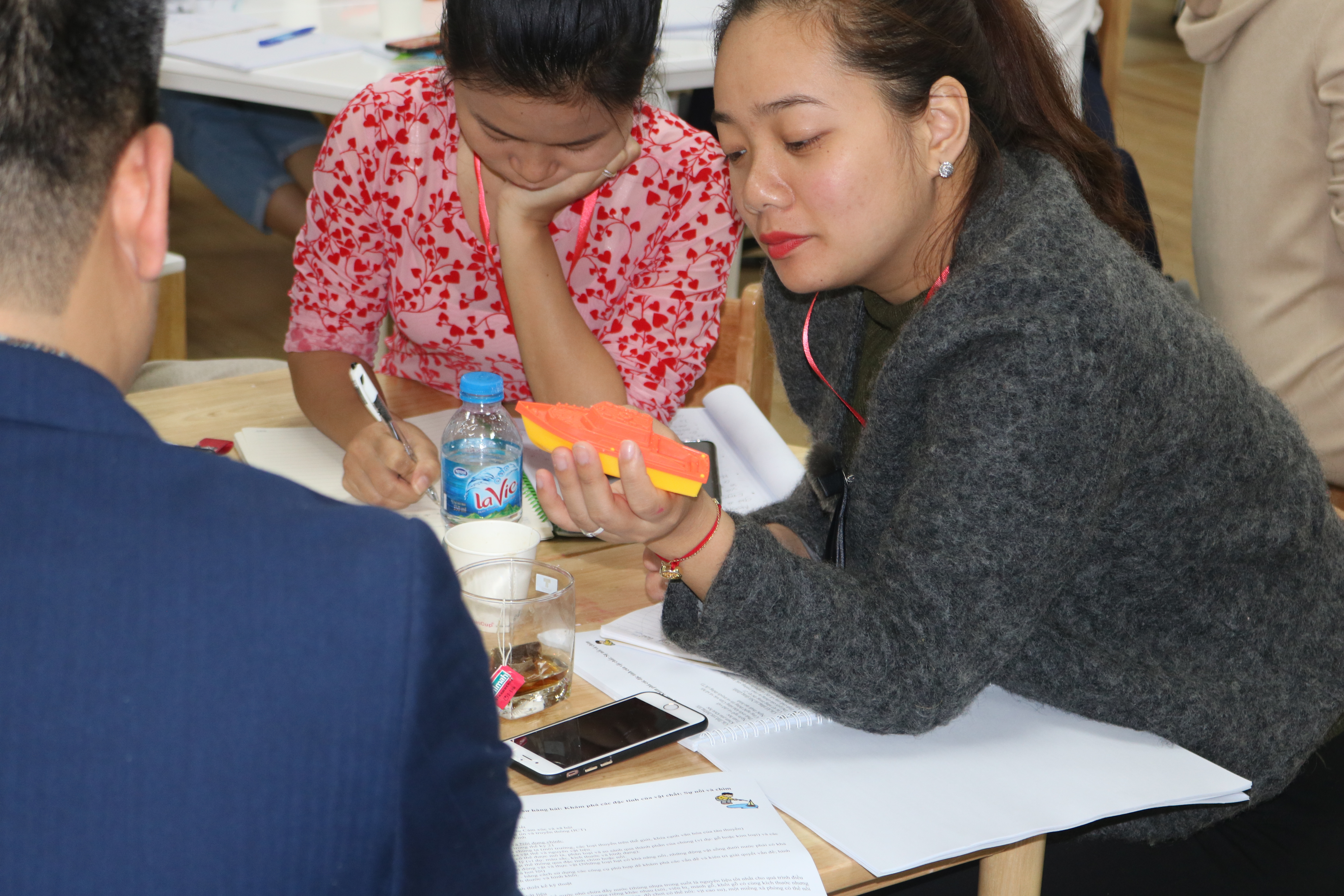 STEM teacher training Vietnam STEAMeGarten Apax by Dr. Diana Wehrell-Grabowski