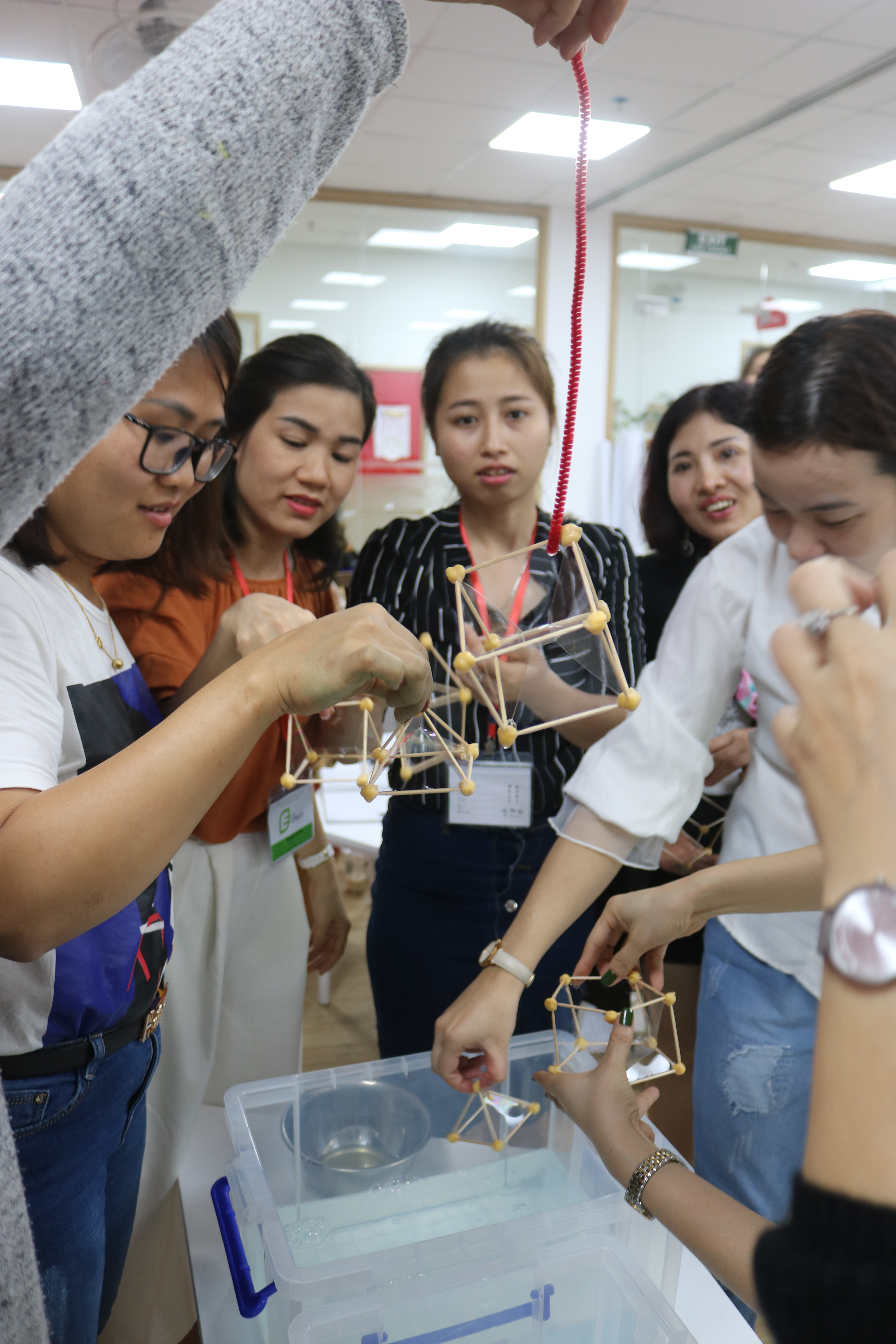 STEM teacher training Vietnam STEAMeGarten Apax by Dr. Diana Wehrell-Grabowski