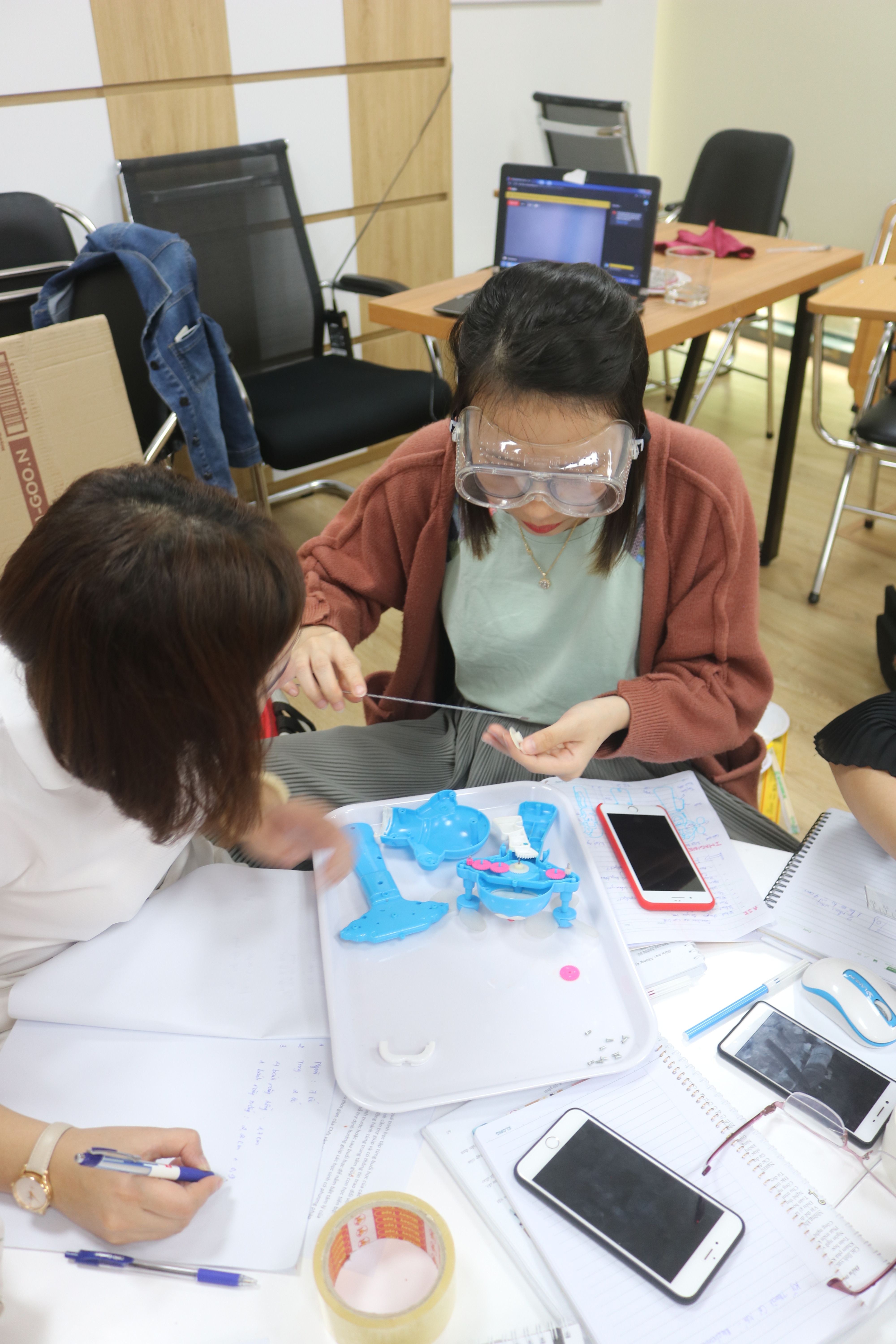 STEM teacher training Vietnam STEAMeGarten Apax by Dr. Diana Wehrell-Grabowski