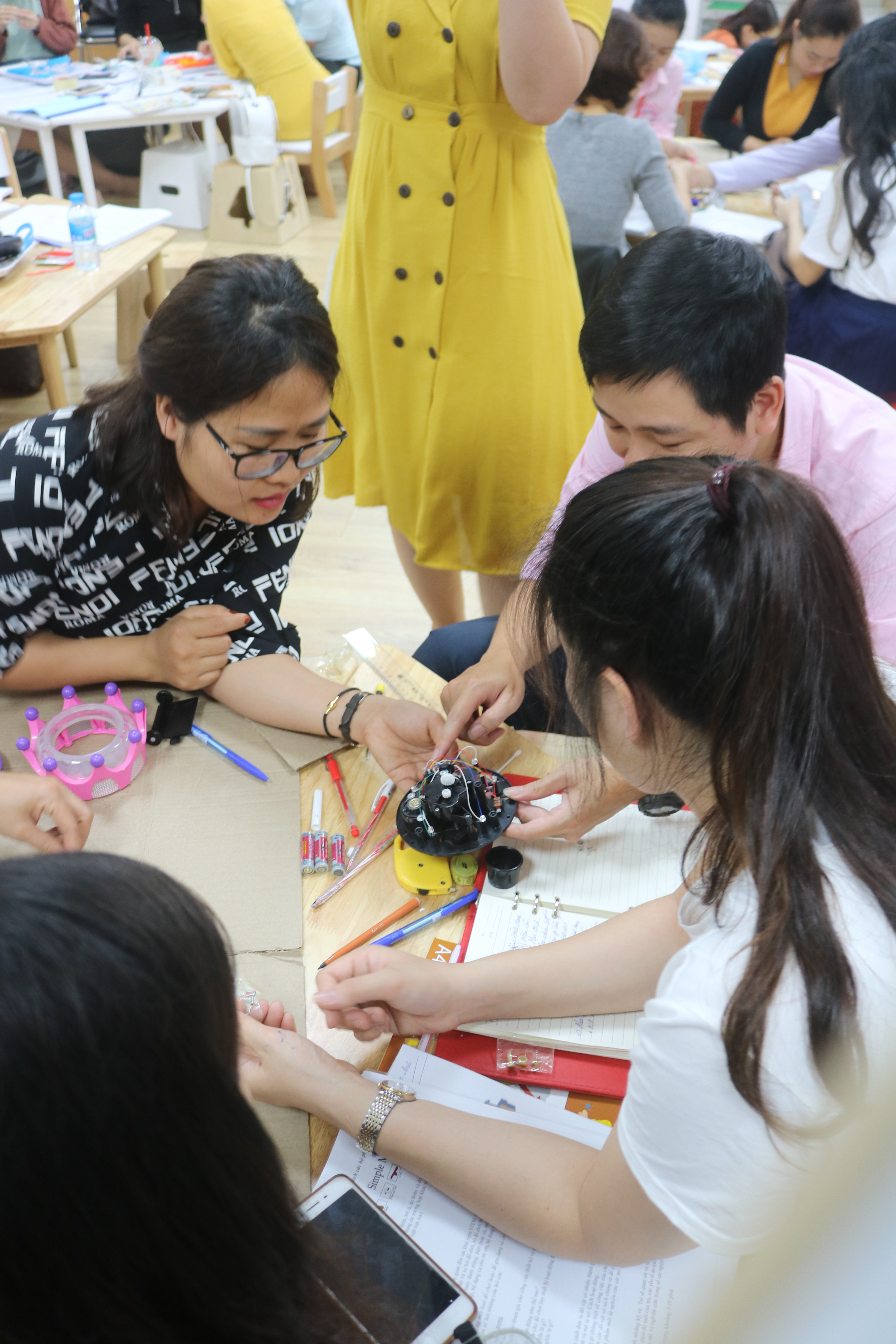 STEM teacher training Vietnam STEAMeGarten Apax by Dr. Diana Wehrell-Grabowski