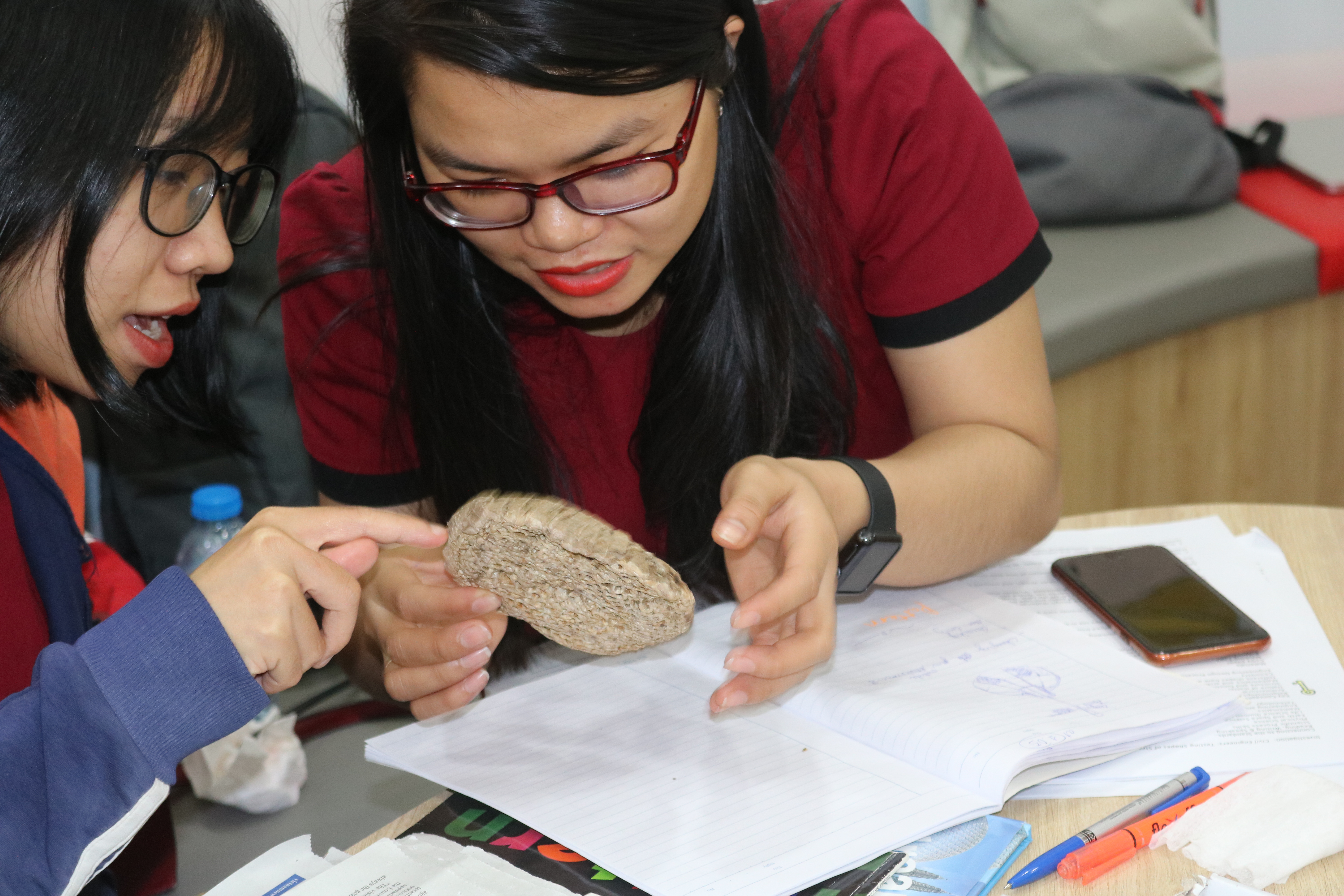STEM teacher training Vietnam STEAMeGarten Apax by Dr. Diana Wehrell-Grabowski